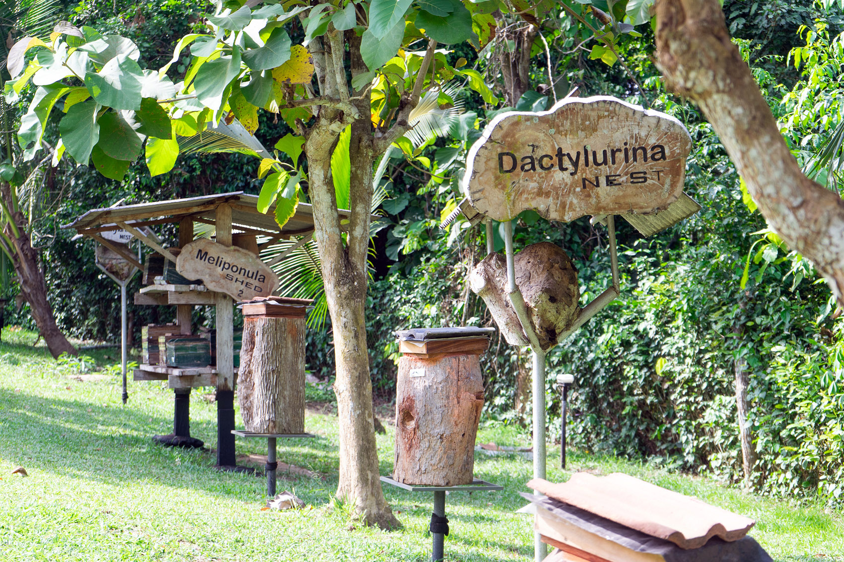 Stingless Bee Centre